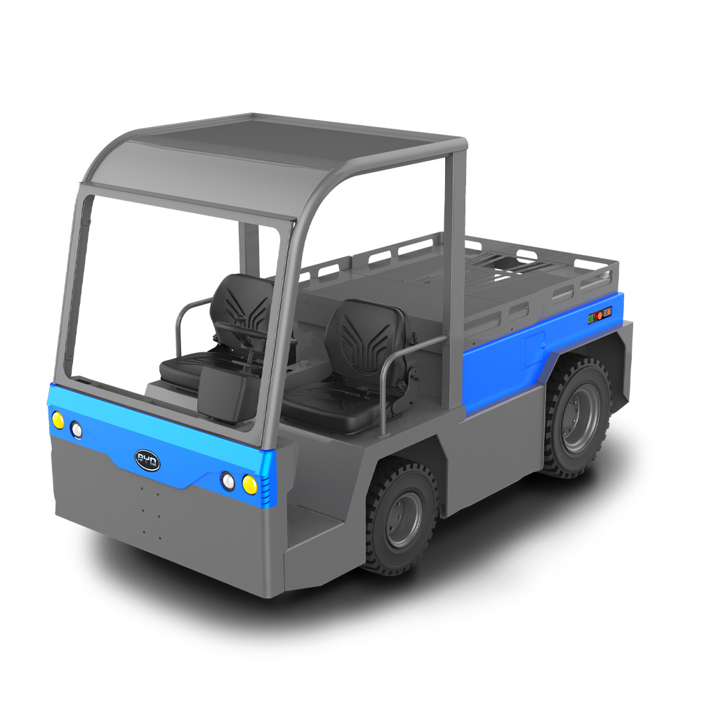  byd